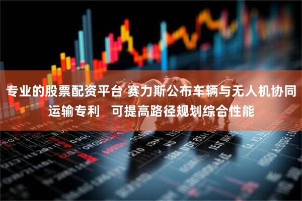 专业的股票配资平台 赛力斯公布车辆与无人机协同运输专利   可提高路径规划综合性能
