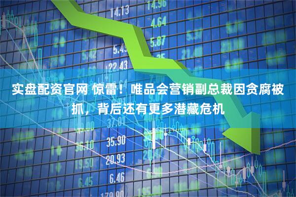 实盘配资官网 惊雷！唯品会营销副总裁因贪腐被抓，背后还有更多潜藏危机