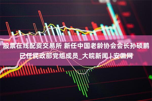 股票在线配资交易所 新任中国老龄协会会长孙硕鹏已任民政部党组成员_大皖新闻 | 安徽网