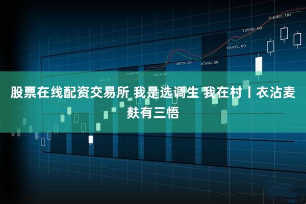 股票在线配资交易所 我是选调生 我在村丨衣沾麦麸有三悟
