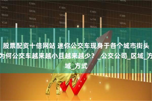 股票配资十倍网站 迷你公交车现身于各个城市街头，为何公交车越来越小且越来越少？_公交公司_区域_方式
