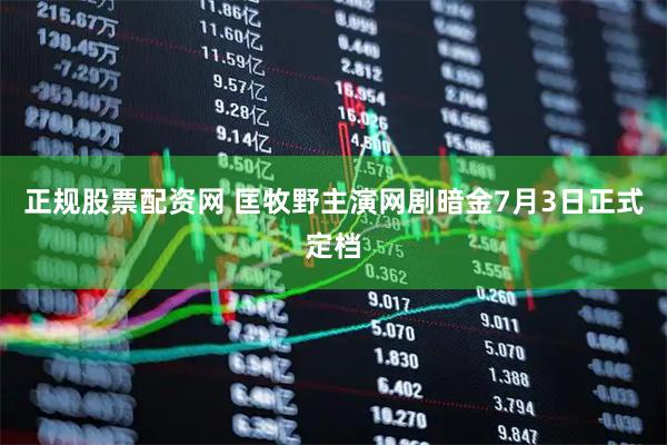 正规股票配资网 匡牧野主演网剧暗金7月3日正式定档