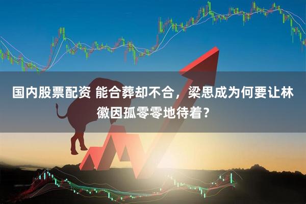 国内股票配资 能合葬却不合,梁思成为何要让林徽因孤零零地待着?